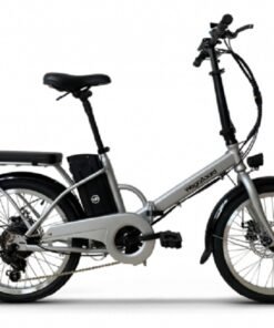 Vélo CityBike + 1 Batterie supplémentaire GRIS