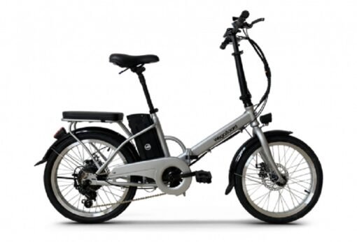 Vélo CityBike + 1 Batterie supplémentaire GRIS