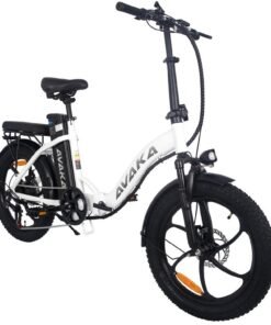 Vélo électrique AVAKA BZ20 30KM/H 500W moteur pneus 20 pouces 48V15Ah Blanc