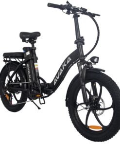 Vélo électrique AVAKA BZ20 30KM/H 500W moteur pneus 20 pouces 48V15Ah Noir