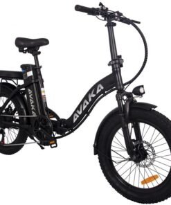 Vélo électrique AVAKA BZ20 30KM/H 500W moteur pneus 20 pouces 48V15Ah Noir rayon