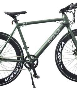 Vélo électrique AVAKA R1 250W 36V 9AH avec dérailleur à 7 vitesses-vert