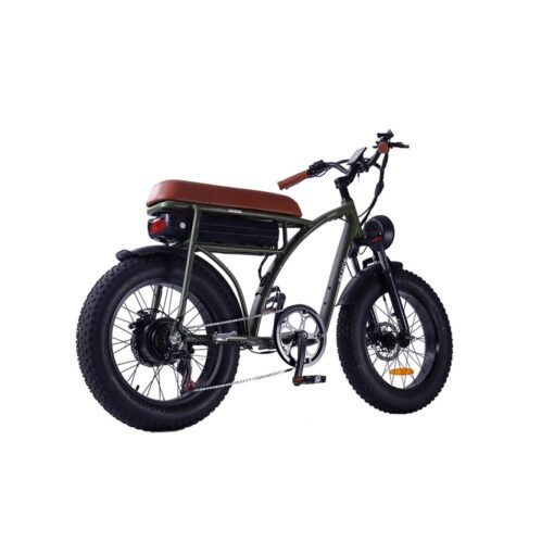 Vélo électrique BEZIOR XF001 rétro 45km/h 1000W moteur 20 pouces 48V12.5Ah Noir – Image 3