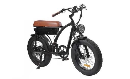 Vélo électrique BEZIOR XF001 rétro 45km/h 1000W moteur 20 pouces 48V12.5Ah Noir