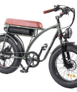 Vélo électrique BEZIOR XF001 rétro 45km/h 1000W moteur 20 pouces 48V12.5Ah Vert