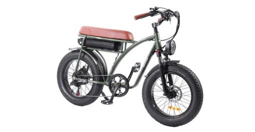 Vélo électrique BEZIOR XF001 rétro 45km/h 1000W moteur 20 pouces 48V12.5Ah Noir – Image 7