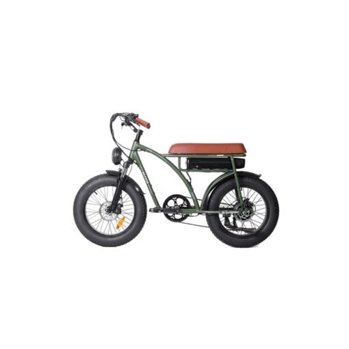 Vélo électrique BEZIOR XF001 rétro 45km/h 1000W moteur 20 pouces 48V12.5Ah Noir – Image 5