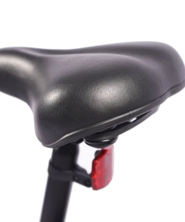Vélo électrique FAFREES 20F054 20'' 250W 36V 25 km/h 10AH Noir – Image 9