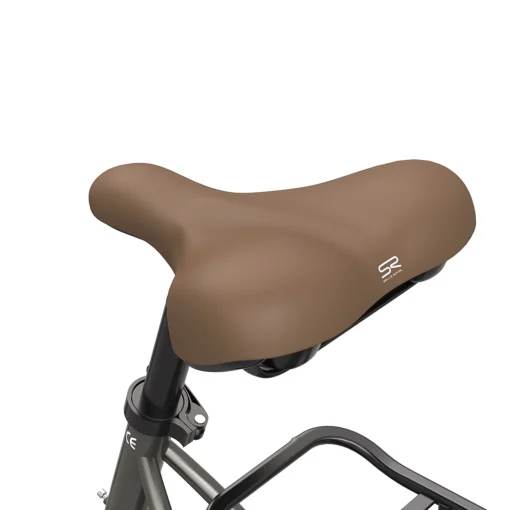 Vélo électrique FAFREES F26 Pro - 250W 36V 10Ah 25km/h 90km or – Image 6
