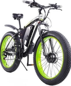 Vélo électrique GOGOBEST GF700 50km/h 500W Noir vert