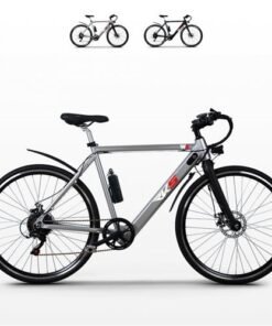 Vélo électrique RKS W6 250W Shimano Gris