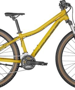 Scott Roxter 26 Disc 2022