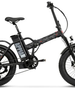 Vélo Électrique LOMBARDO APPIA 20" 48v 13ah/624Wh gris