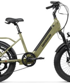 Vélo Électrique LOMBARDO AURELIA 20" 36v 672Wh vert