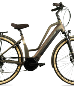 Vélo électrique Granville E EXCELLENCE 20 - 400WH 2022 vert