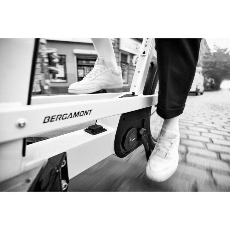 Bergamont E-CARGOVILLE LJ EDITION - Cargo E-Bike - 2022