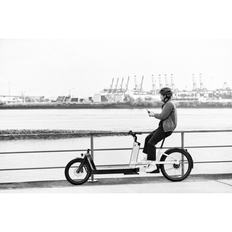 Bergamont E-CARGOVILLE LJ EDITION - Cargo E-Bike - 2022
