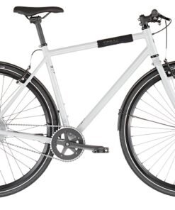 FIXIE Inc. Backspin Zehus gris