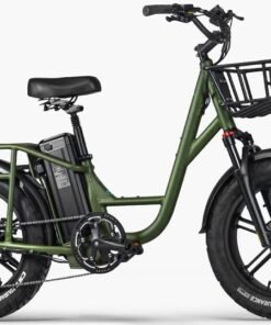 Fiido T1 Pro Vélo cargo électrique