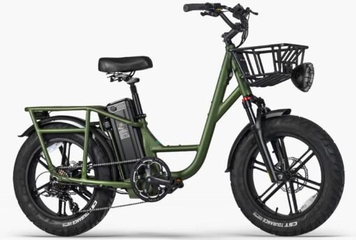 Fiido T1 Pro Vélo cargo électrique