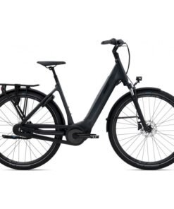 Giant DailyTour E+ 2 LDS D