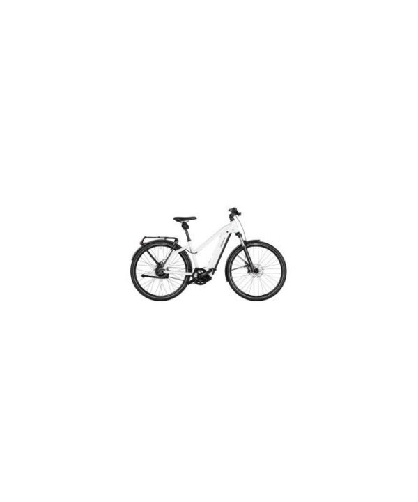 Riese & Muller Charger4 Mixte