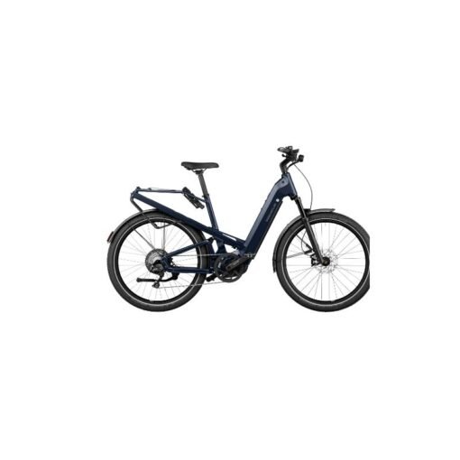 Riese & Muller Homage GT Rohloff