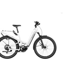 Riese & Muller Homage GT Rohloff 2022