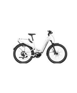 Riese & Muller Homage GT Touring
