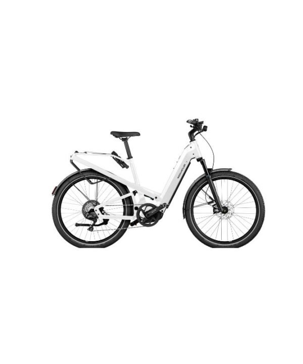 Riese & Muller Homage GT Vario