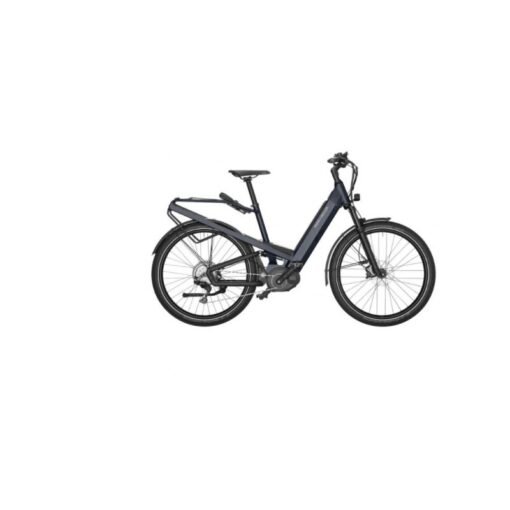 Riese & Muller Homage GT Vario HS 2022 – Image 2