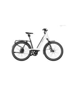 Riese & Muller Nevo GT Rohloff HS