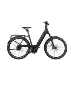 Riese & Muller Nevo GT Vario 2022