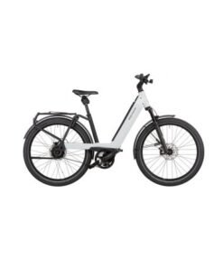 Riese & Muller Nevo Vario 2022