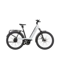 Riese & Muller Nevo touring HS 2022