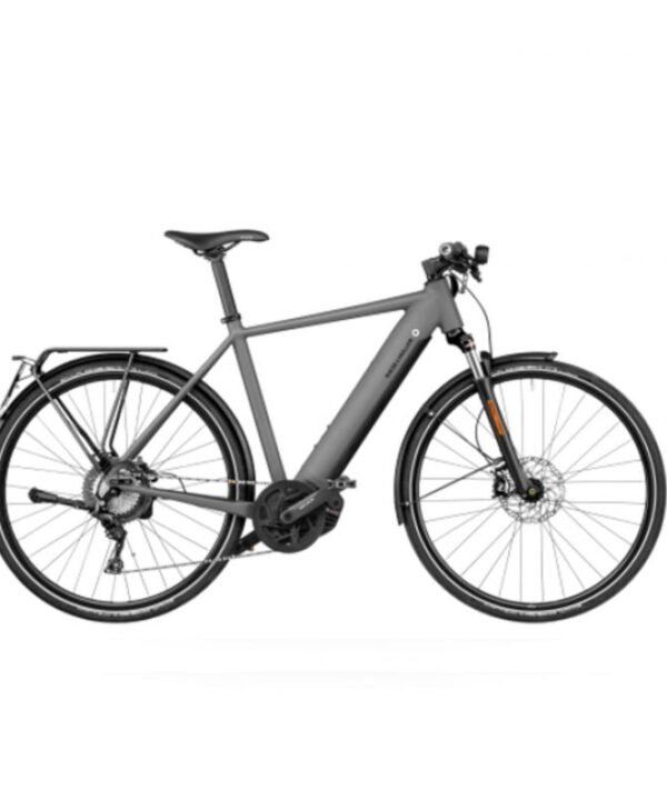 Riese & Muller Roadster Touring HS
