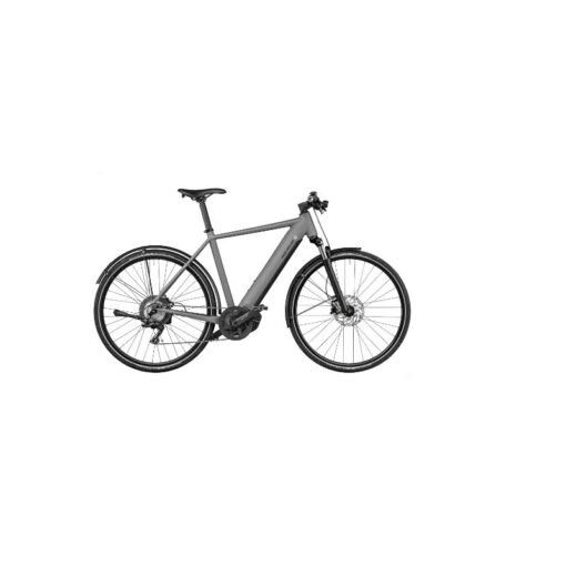 Riese & Muller Roadster vario – Image 2