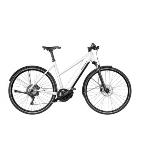 Riese & Muller Roadster vario 2022 – Image 3