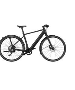 Riese & Muller UBN Five Singlespeed
