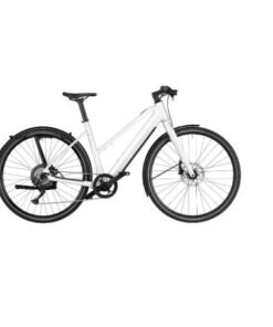 Riese & Muller UBN Seven Touring