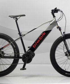 VTT électrique BIWBIK KONE