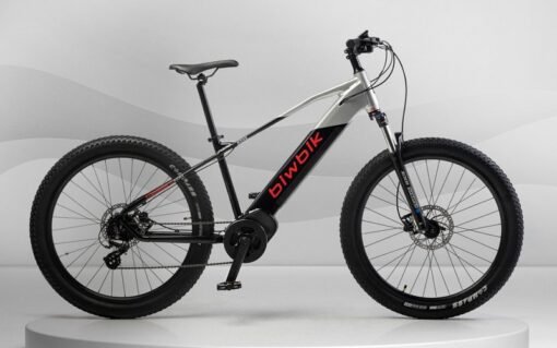 VTT électrique BIWBIK KONE