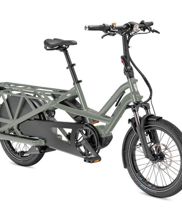 Vélo cargo électrique longtail TERN GSD S10 Vert Sage LR