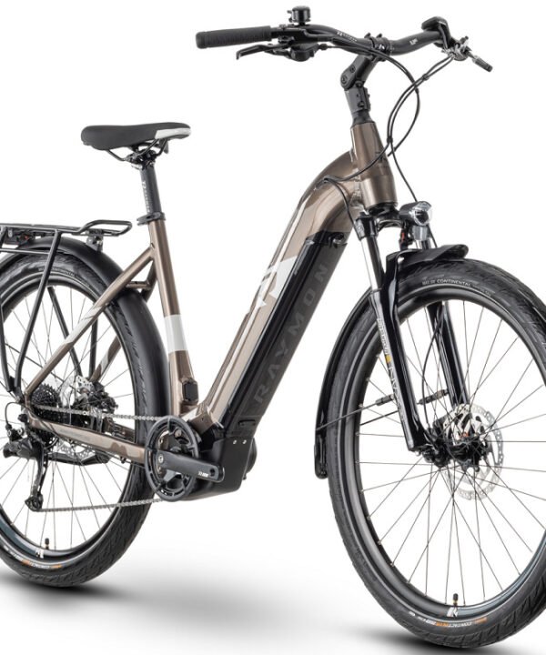 Vélo électrique RAYMON TOURRAY E 5.0 - 500 WH 2023