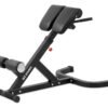 BANC LOMBAIRES - RÉGLABLE - 100 KG MAX. FITNESS SPORT MUSCULATION