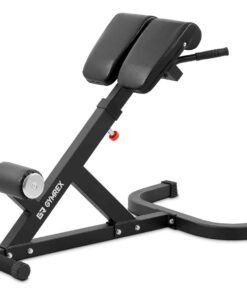 BANC LOMBAIRES - RÉGLABLE - 100 KG MAX. FITNESS SPORT MUSCULATION