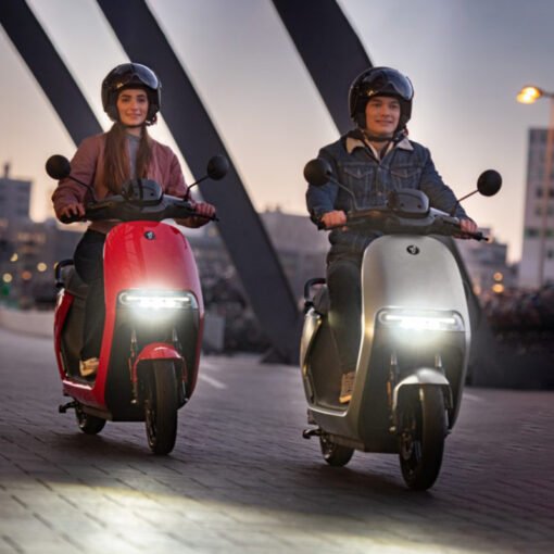 Scooter électrique Segway eScooter E110S gris brillant – Image 3